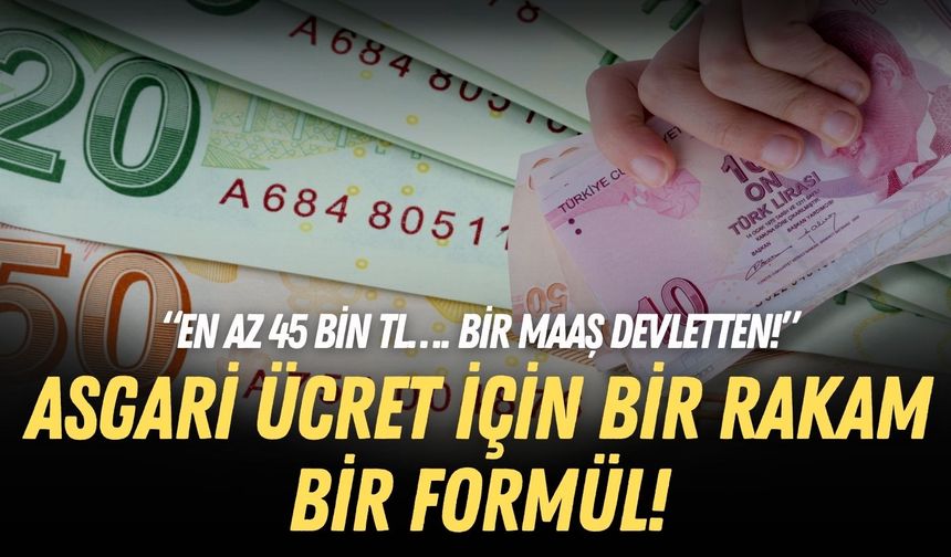 Asgari ücret için bir rakam bir formül! “En az 45 bin TL… Bir maaş devletten!”