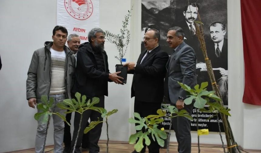 Aydın’da tarımsal seferberlik: Binlerce fidan üreticilere dağıtıldı