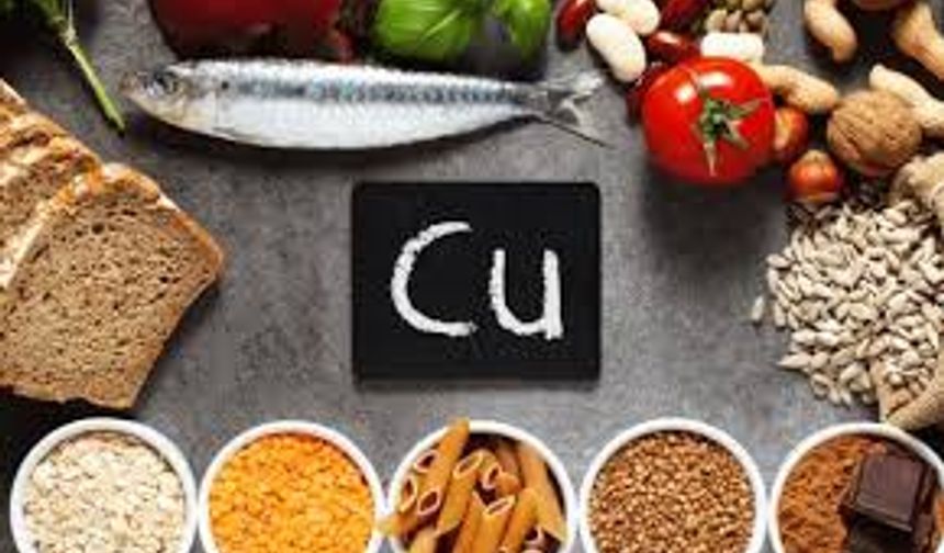 En çok bakır içeren besinler hangileri? 2026 güncel liste