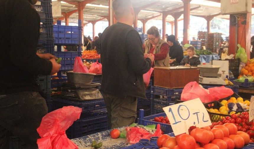 Kaz Dağları’nın lezzeti değer kaybetti: Son hasatta 10 TL’ye indi