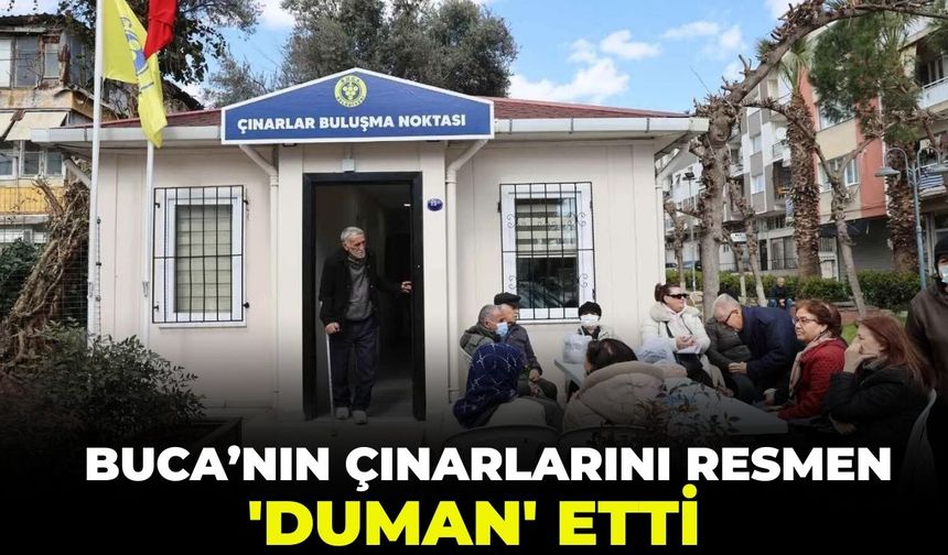 Buca'nın çınarlarını resmen 'Duman' etti!