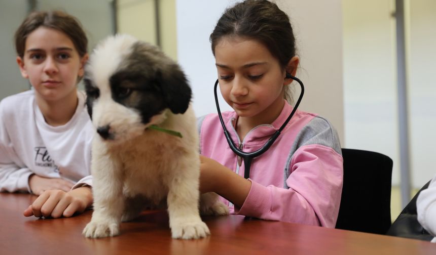 Çocuklar veterinerliğe adım attı