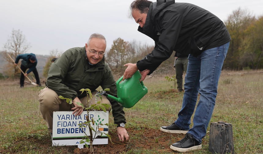 Bayramiç’te yangın sonrası ağaçlandırma çalışmaları başladı
