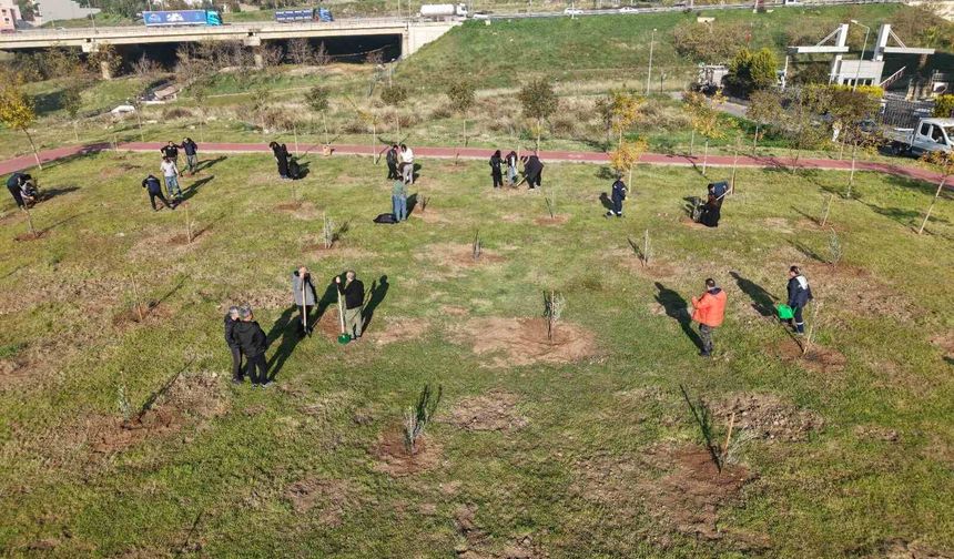 Zeytin fidanları Karşıyaka’ya nefes oldu!