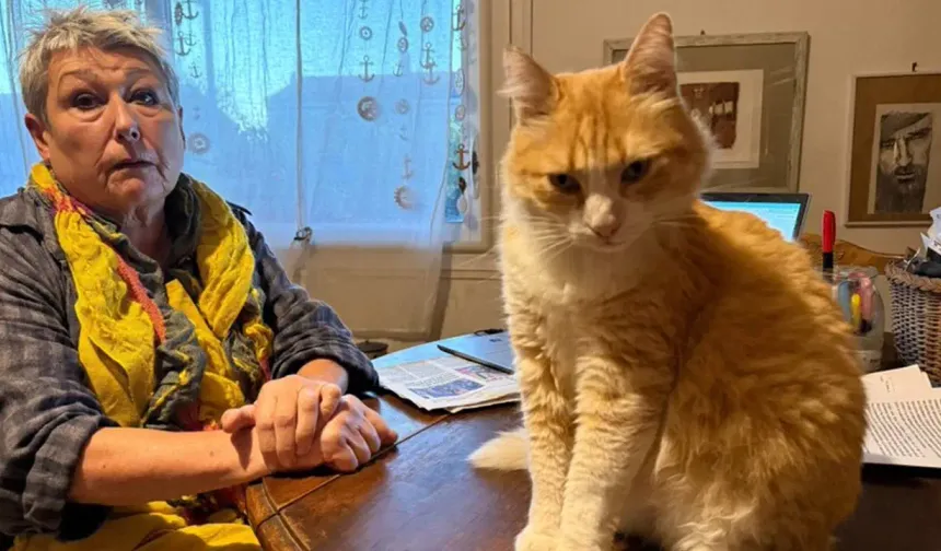 Komşunun bahçesine giren kediye 1.250 Euro ceza: Rémi davası mahalleyi böldü