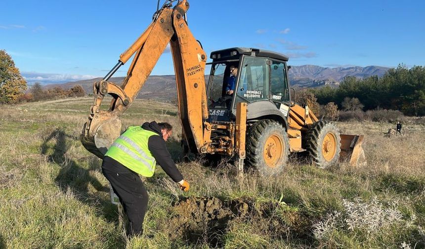 Demirci Belediyesi’nden tarıma stratejik yatırım: Atıl araziler üretime kazandırılıyor