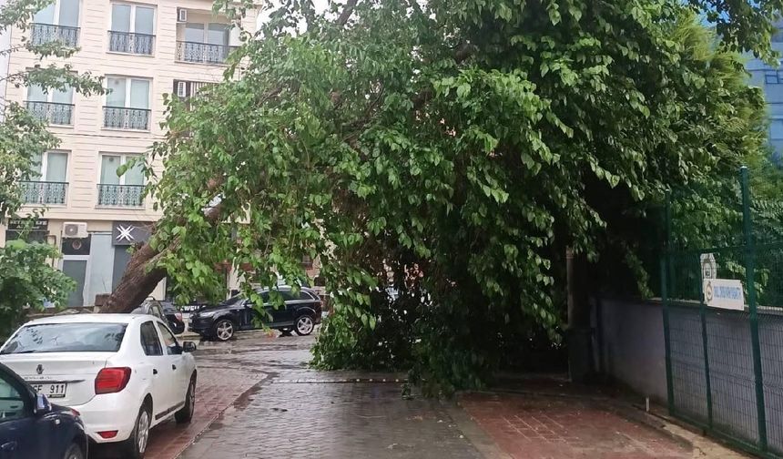 Denizli için fırtına alarmı: Kuvvetli rüzgar hayatı olumsuz etkileyebilir