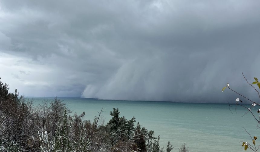 Görenleri hayrete düşüren görüntü! Gizemli olayın sırrı çözüldü