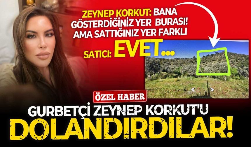 Türkiye'de yatırım yapmak isteyen gurbetçi Zeynep Korkut'a sattıkları arsa, kuş uçmaz, kervan geçmez sarp dağ çıktı!