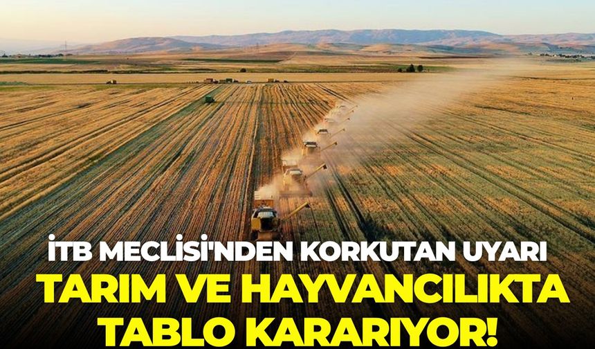 İTB Meclisi'nden korkutan uyarı: Tarım ve hayvancılıkta tablo kararıyor!