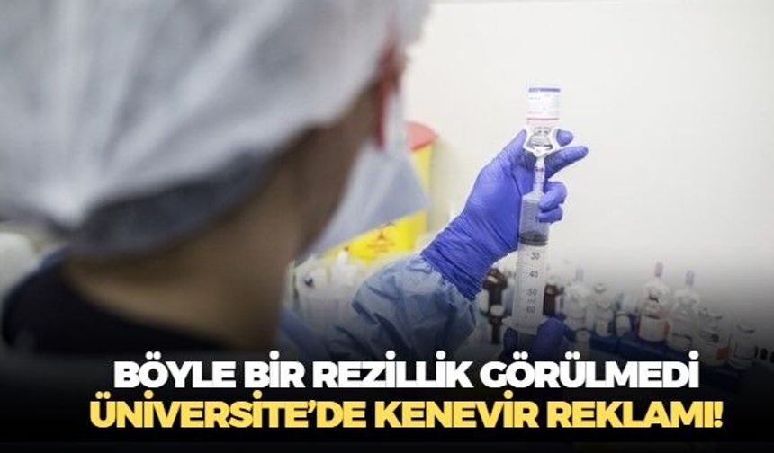 Üniversite kürsüsünde kenevir güzellemesi mi? Prof. Dr. Veysi Ceri: Üniversite bunu yaparsa, torbacılar ne yapmaz?
