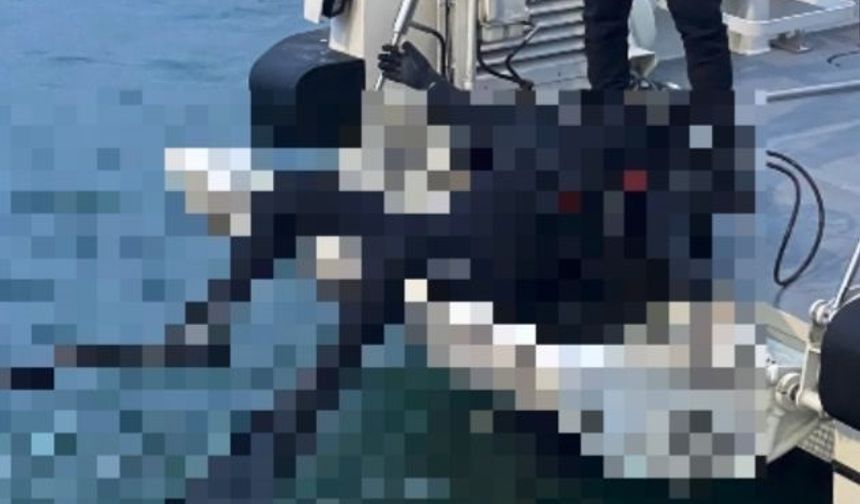 Kocaeli dalgıç kıyafetli erkek cesedi bulundu