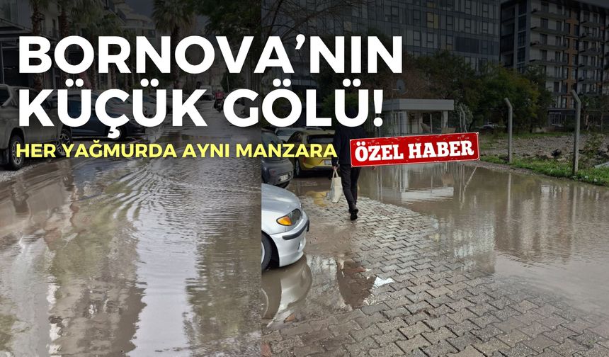 Bornova’nın küçük gölü! Her yağmurda aynı manzara