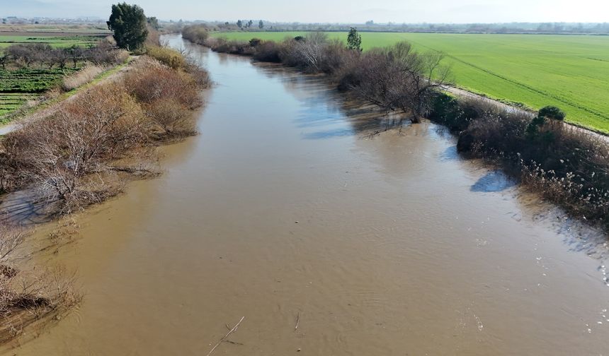 Büyük Menderes taştı, tarım arazileri su altında