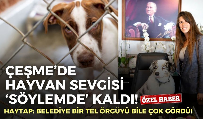 Çeşme’de hayvan sevgisi ‘söylemde’ kaldı! HAYTAP: Belediye bir tel örgüyü bile çok gördü!