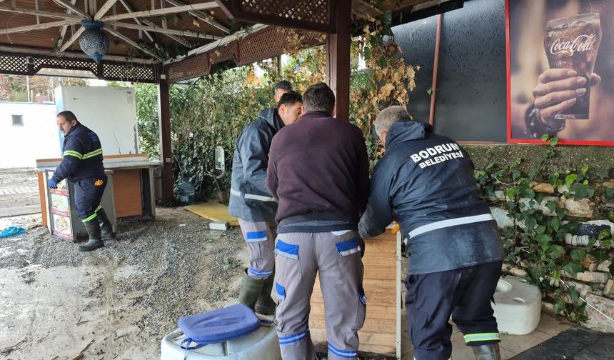 Bodrum’da sahiller için kritik adım!