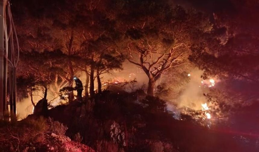 Muğla Bodrum'da ormanlık alanda yangın: Kontrol altına alındı!