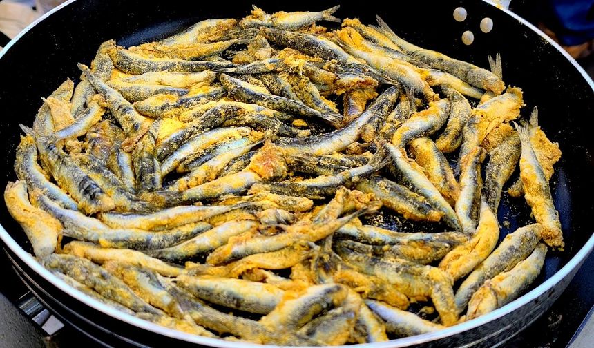 Muğla’da hamsi şöleni! 5 ton hamsi vatandaşlarla buluştu