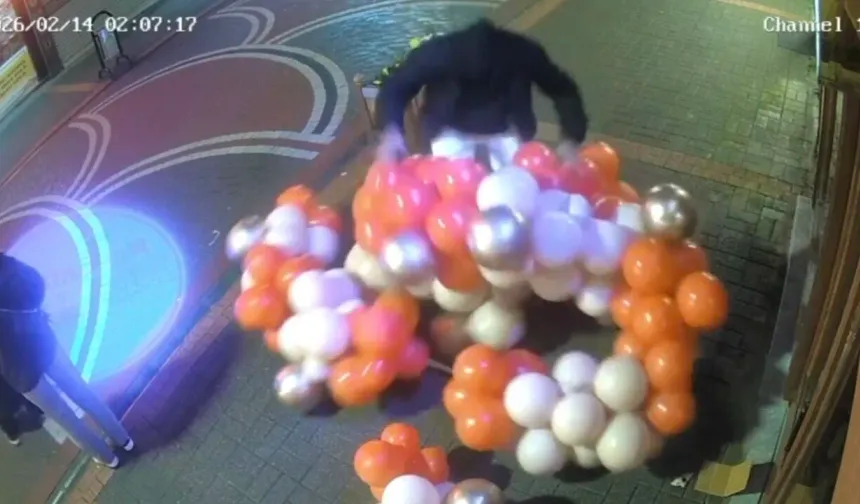 Sevgililer Günü için asılan balonlara saldırı!