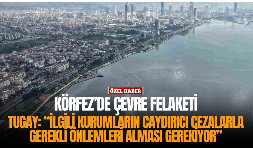 İzmir Körfezi’nde yeni çevre felaketi !