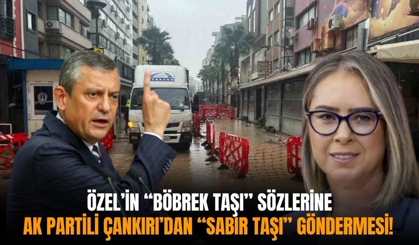 Özel’in “böbrek taşı” sözlerine AK Partili Çankırı’dan “sabır taşı” göndermesi!