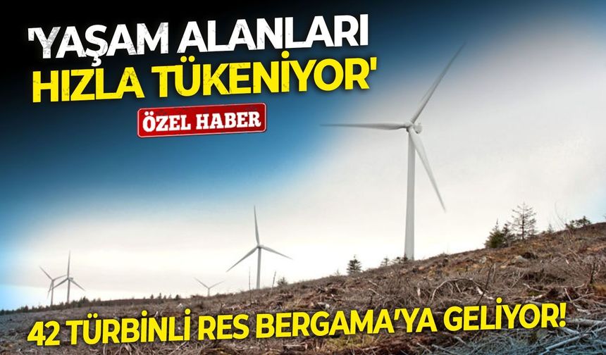 42 türbinli RES Bergama’ya geliyor!  'Yaşam alanları hızla tükeniyor'