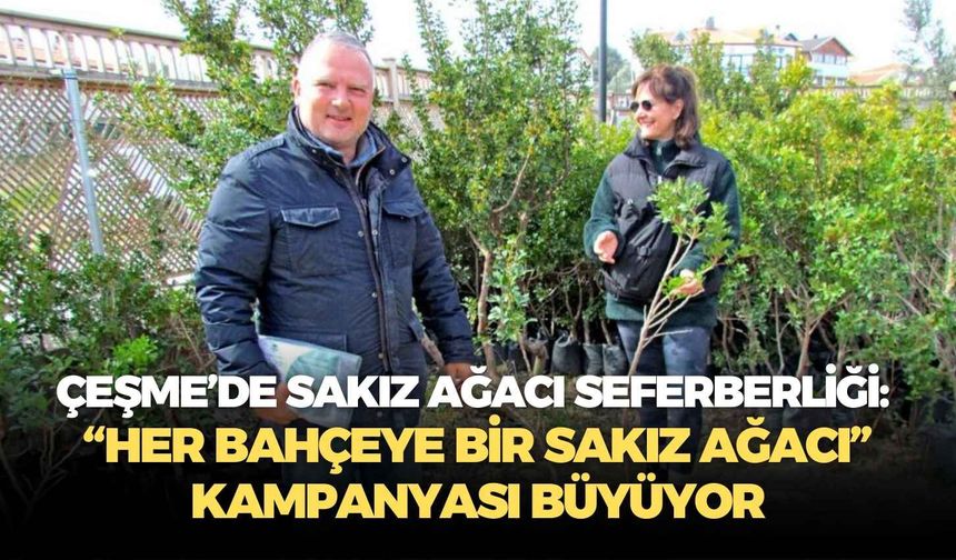 Çeşme’de sakız ağacı seferberliği: “Her Bahçeye Bir Sakız Ağacı” kampanyası büyüyor