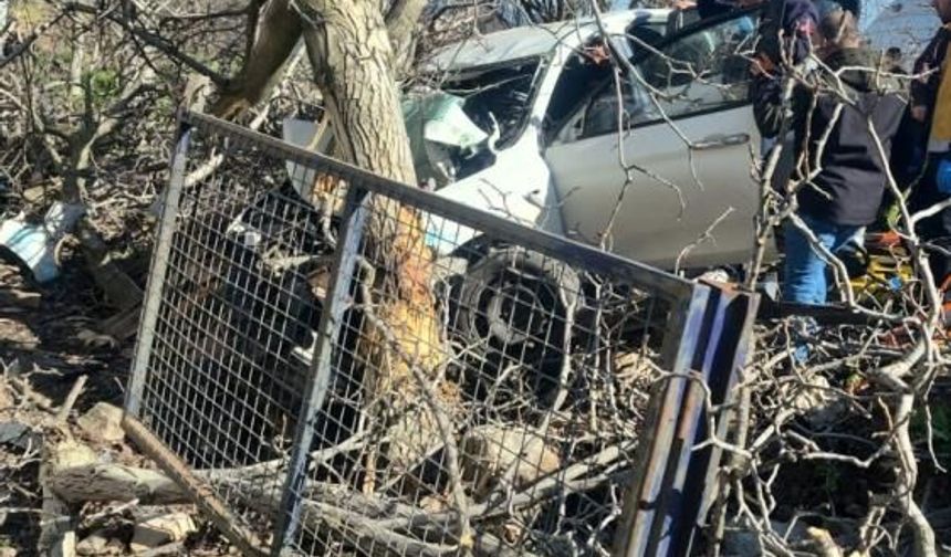 Aydın’da feci kaza: Otomobil ağaçlara çarptı, 2 kişi hayatını kaybetti