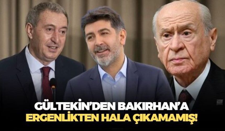 Gazeteci Levent Gültekin'den DEM Parti eş Genel Başkanı Tuncer Bakırhan'a tepki: Ergenlikten çıkamadı!