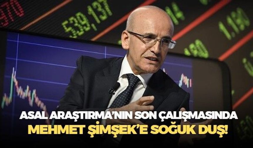 Asal Araştırma seçmene ekonomiyi sordu: Sonuç, Mehmet Şimşek yönetimi sınıfta kaldı!