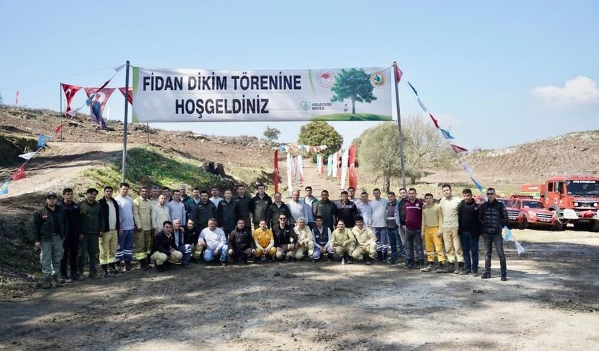 Milas’ta yanan ormanlar yeniden yeşeriyor: Binlerce fidan toprakla buluştu