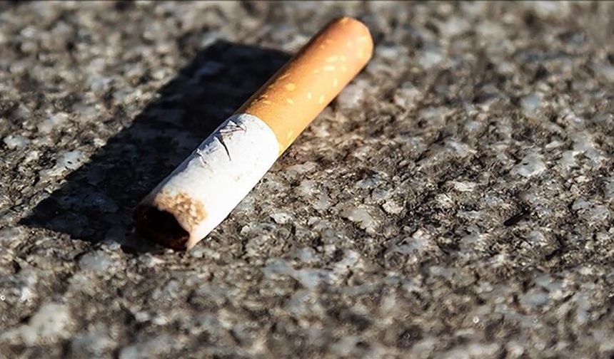 Sigara izmaritindeki DNA cinayeti aydınlattı!