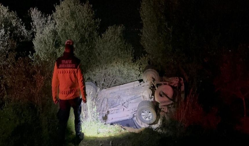 Kontrolden çıkan araç zeytinliğe savruldu: Sürücüye 50 bin lira ceza, ehliyetine 2 yıl 2 ay el konuldu!