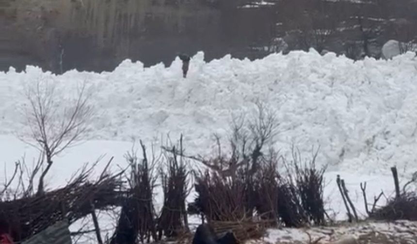 Yüksekova’da beyaz dehşet! Çığ kapıya dayandı