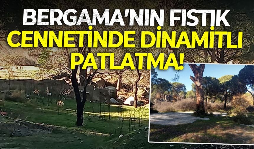Bergama’nın fıstık cennetinde dinamitli patlatma! Halka ‘katılım’ çağrısı