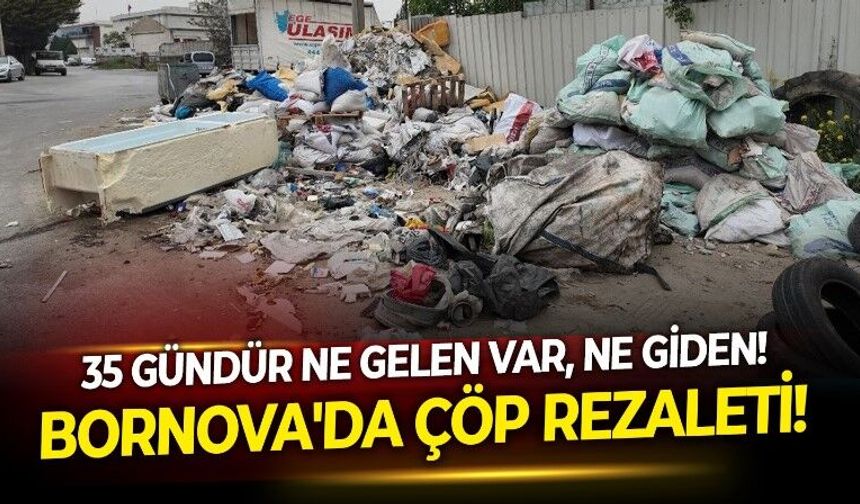 Bornova'ya yakışmayan tablo! Kentin göbeğindeki çöp dağları tam 35 gündür toplanmayı bekliyor