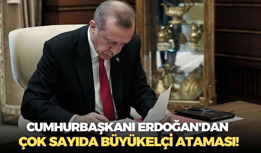 Resmi Gazete'de yayımlandı: Cumhurbaşkanı Erdoğan'dan çok sayıda büyükelçi ataması!