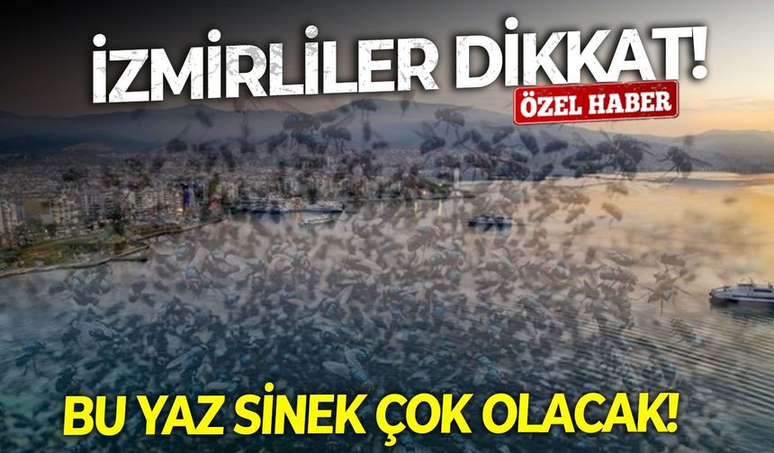 İzmirliler dikkat: Bu yaz sinek çok olacak!