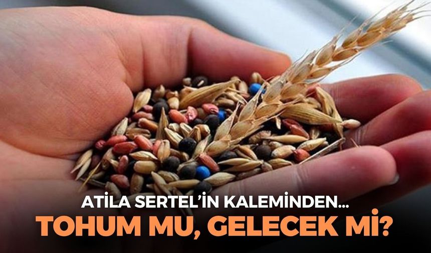 TOHUM MU, GELECEK Mİ?