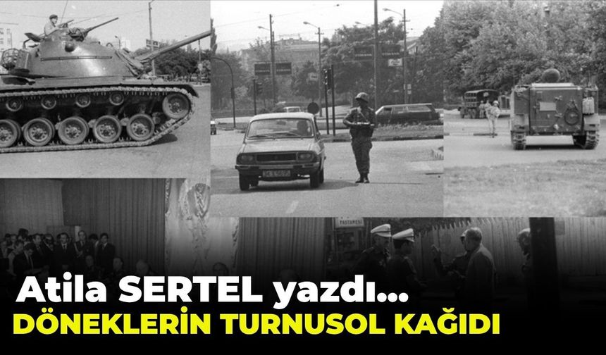 DÖNEKLERİN TURNUSOL KAĞIDI