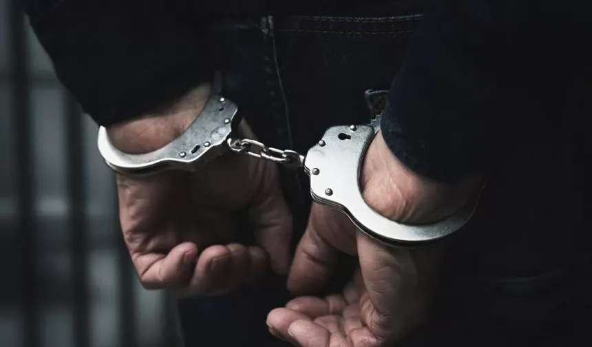 33 kedinin ölümünde flaş gelişme: Serbest bırakılan veteriner hekim tutuklandı!
