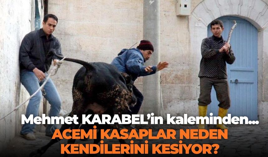 ACEMİ KASAPLAR NEDEN KENDİLERİNİ KESİYOR?