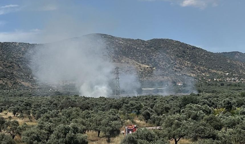 Bayındır’da zeytinlik alanda yangın paniği! Ekipler alevlere hızla müdahale etti