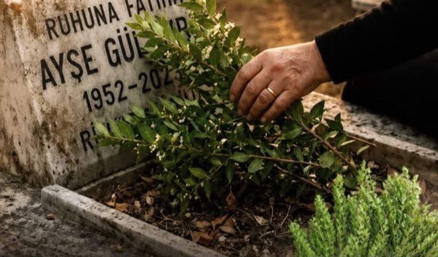Bayramda Bayındır’da mersin yoğunluğu