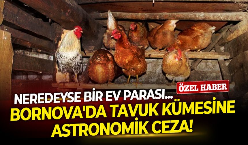 Bornova'da tavuk kümesine astronomik ceza!