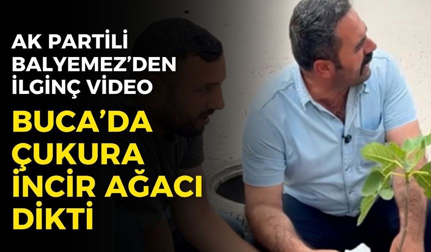 AK Partili Balyemez, Buca'da çukura incir ağacı dikti!