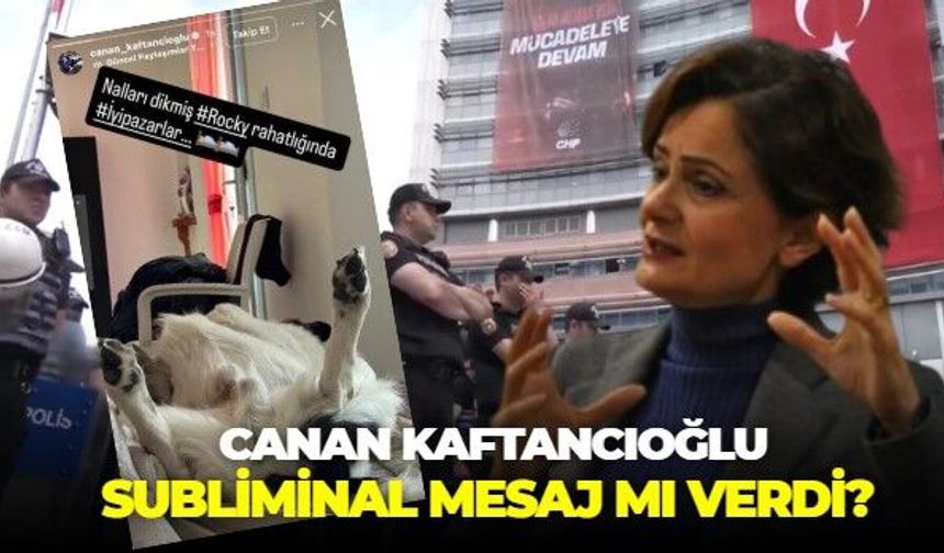 CHP'de ortalık yangın yeri, onun gündemi köpeği Rocky! Canan Kaftancıoğlu'nun paylaşımı kafaları karıştırdı