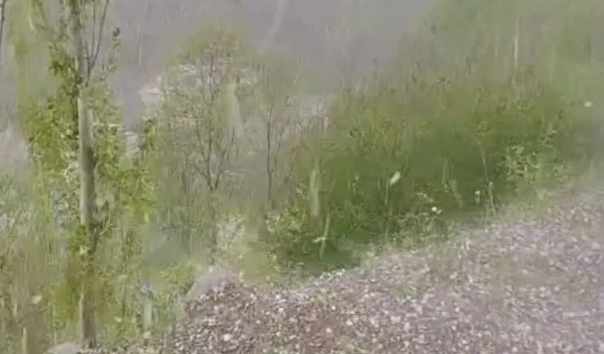 Bir sağanak bir dolu vurdu, çiftçinin emeği harap oldu