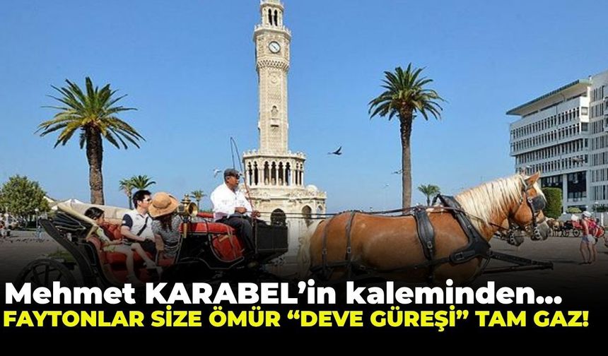 FAYTONLAR SİZE ÖMÜR “DEVE GÜREŞİ” TAM GAZ!