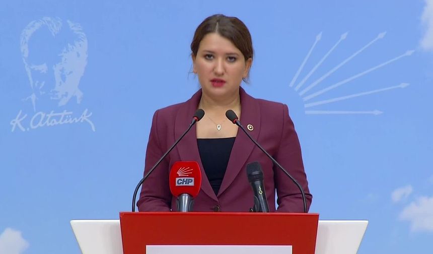 CHP'li Gökçen'den Şakran Cezaevi ziyareti sonrası dikkat çeken açıklama